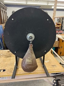 Everlast Speed Bag