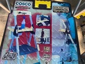 Cosco Ladder