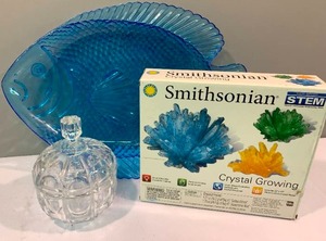 Pretty Crystal Candy Dish, Smithsonian Crystal Growing Project Kit, Transparent Turquoise Plastic Fish Plate