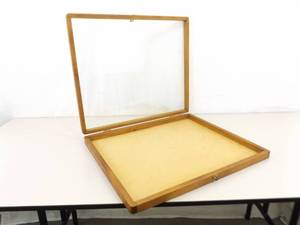 Glass Lid Display Curio Case