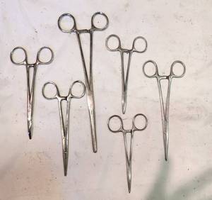 lot 45 image: Nice lot of Hemostats