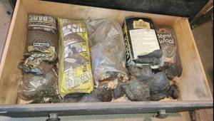 lot 20 image: Large  Lot of Steel Wool
