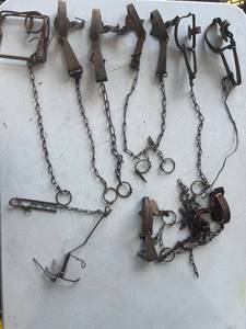 lot 41 image: Gopher Traps