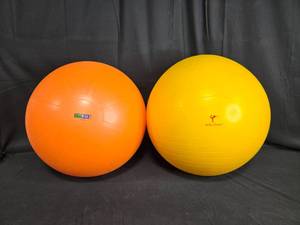 lot 54 image: Set of 2 Exercise Stability Balls - 55CM GoFit & Wai Lana