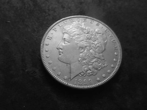 1899 Morgan Silver Dollar