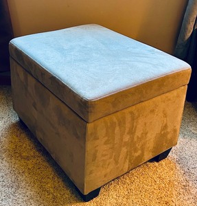 lot 70 image: Neutral Tan Cube Stool and Storage