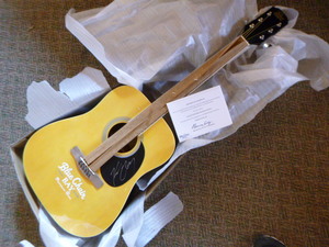 Rogue Blue Chair Bay Kenny Chesney Acoustic Guitar