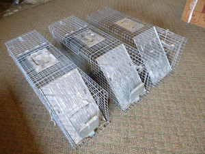 3 Havahart Live Game Traps