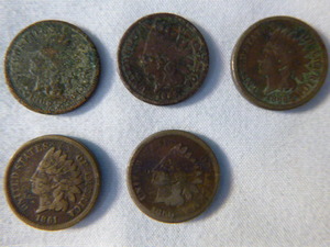 5 Indian Head Pennies