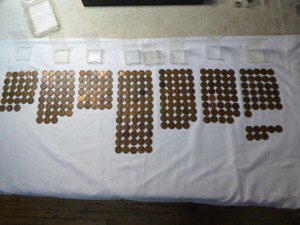 278 Wheat Back Pennies