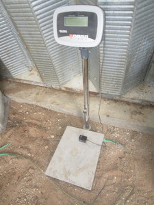 lot 52 image: Global Scale