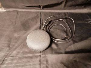 lot 58 image: Google Nest Mini with Charger