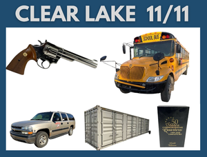lot 0 image: November Consignment Auction  Clear Lake