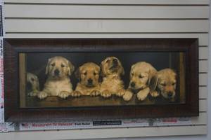 lot 209 image: Golden Retriever puppies print