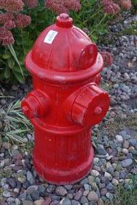 lot 566 image: Fire Extinguisher Lawn Ornament
