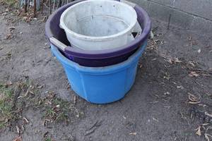lot 551 image: Large Plastic Buckets