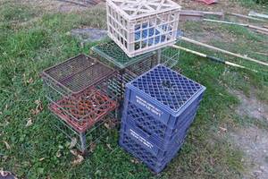 lot 591 image: Milk Crates