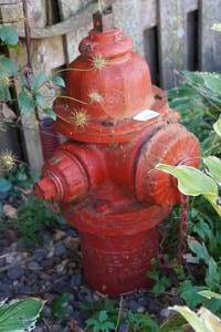 lot 10 image: Fire Hydrant - From St Paul