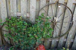 lot 11 image: Antique Steel Wagon Wheels
