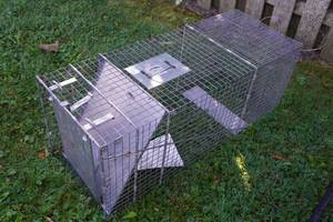 lot 17 image: Little Giant Live Trap