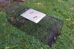 lot 18 image: Live Trap