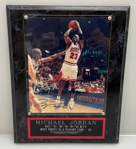 lot 187 image: Michael Jordan Photo Plaque