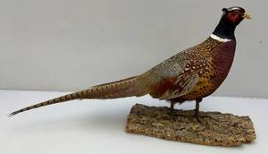 lot 209 image: Ringneck Pheasant Mount