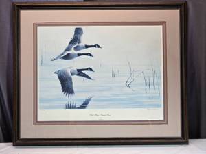 lot 15 image: Framed Print Silent Wings - Canada Geese by Gary Moss Signed & Numbered 2053800