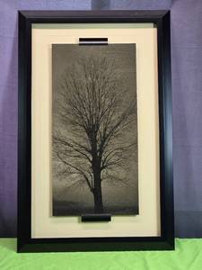 lot 113 image: Framed Black and White, (Maybe a Greenish Tint) Tree Print