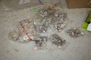 lot 1125 image: Lot of (10) ContainersBags of Assorted Decorative Shells and Shell Pieces