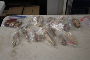 lot 1124 image: Lot of (16) Packs of Assorted Decorative Drift Wood Pieces