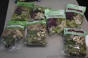 lot 1170 image: Lot of (7) Packs of Assorted Moss Collections