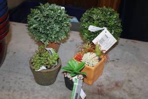 lot 1165 image: Lot of (5) Assorted Plastic PlantsPlanters Dcor