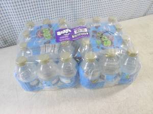 lot 340 image: (C-2) Case 24 Bottles Splash Blast ...
