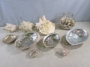 lot 109 image: (A-4) Assorted Sea Shells...
