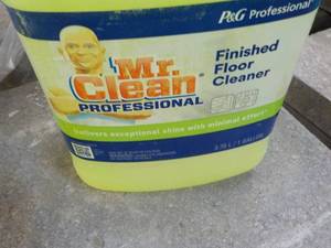 1 Gallon Mr. Clean Finished Floor C...