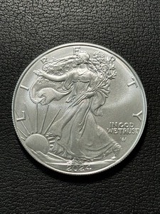 2024 Silver Eagle