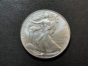 2024 Silver Eagle