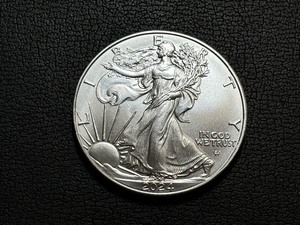 2024 Silver Eagle