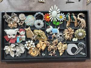 Lot Of Assorted Brooches (36 Pieces)