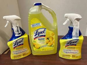 Lysol Multi-Surface Disinfectant