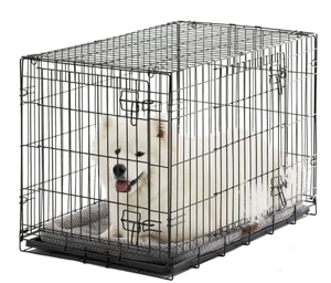 lot 414 image: Vibrant Life Double Door Metal Wire Dog Crate with Leak-Proof Pan and Divider