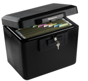 lot 421 image: SentrySafe 0.6 cu. ft. Security Fire File Safe, 1170
