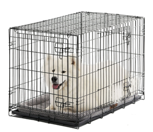 lot 673 image: Vibrant Life Double Door Metal Wire Dog Crate with Leak-Proof Pan and Divider
