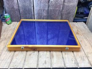 lot 209 image: Attractive Display Cabinet