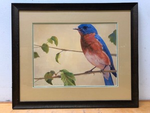 lot 42 image: Framed Signed Numbered Realistic Bluebird Lithograph - Signed Cornett
