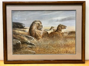 lot 66 image: Framed Signed Numbered Lion Print by Ruane Manning