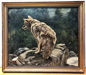 lot 67 image: Excellent Original Oil on Canvas Painting Signed D. Bane - Coyote on a Ledge