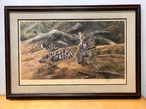 lot 71 image: Framed Signed Numbered Leopard Print - Dawns First Scent by Anthony Gibbs