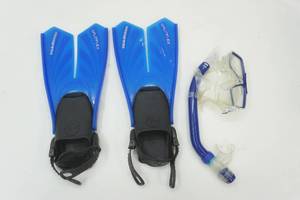 lot 191 image: flippers and snorkel